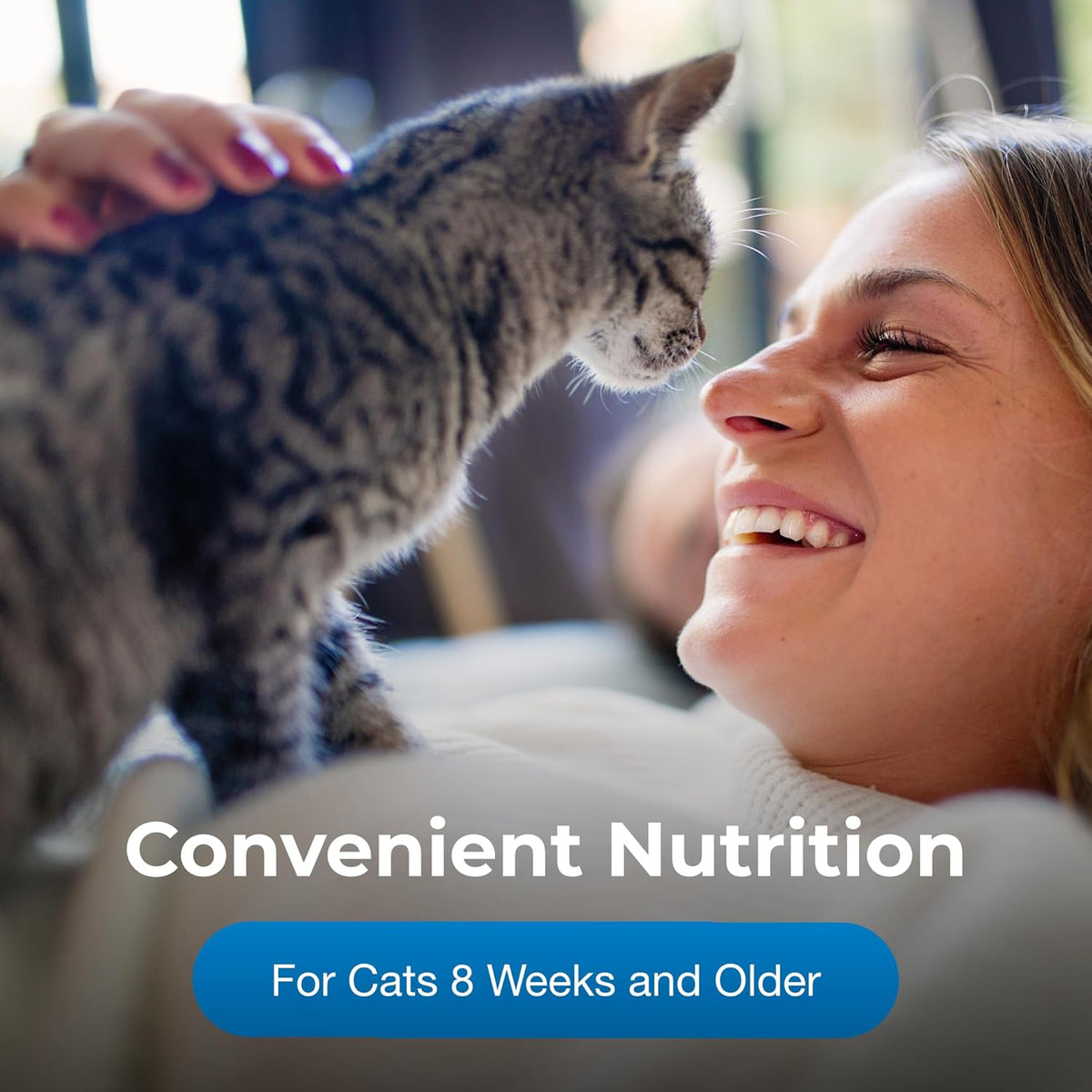 High calorie nutritional gel for cats close up ingredients