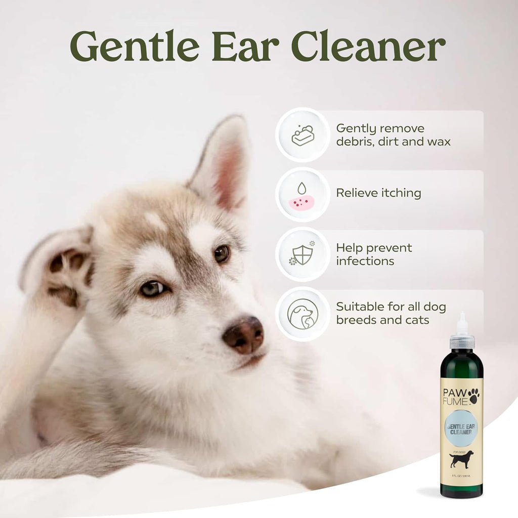 Authentic imported pet grooming gift box contents spread out