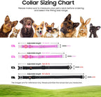 Pawpawsen pet camera accessories including lanyard and card reader