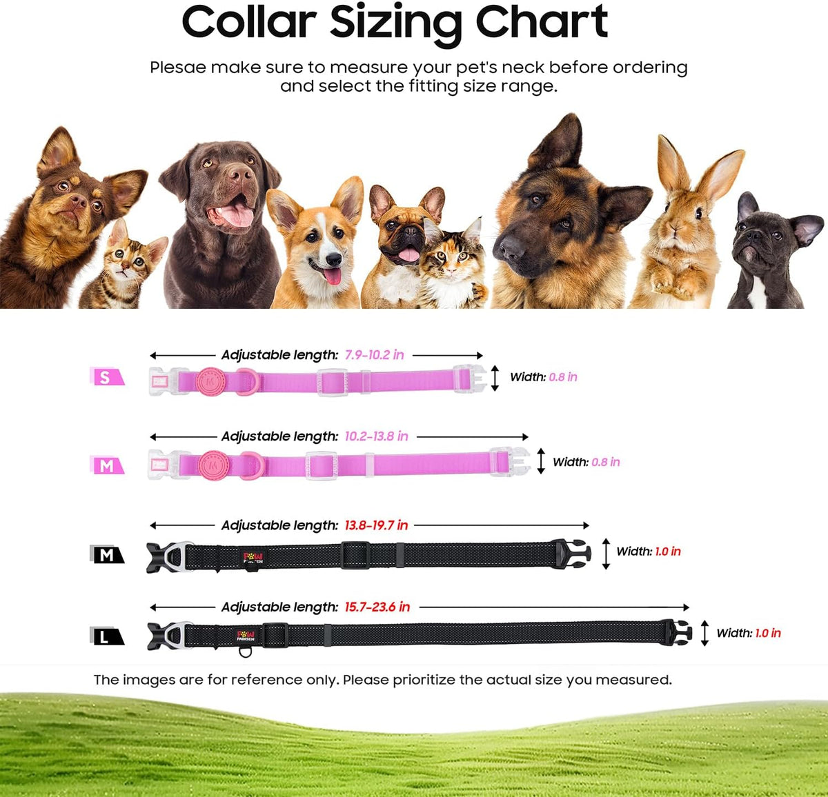 Pawpawsen pet camera accessories including lanyard and card reader