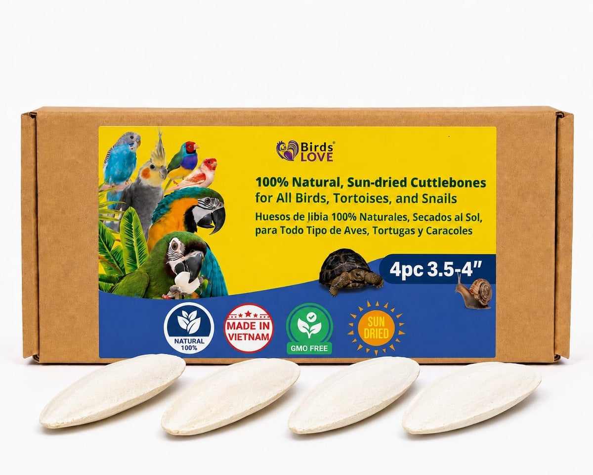 Birds LOVE 3.5-4" Cuttlebone for Birds - 100% Natural Sun-Dried Calcium & Beak Conditioning Supplement for Parakeets, Budgies, Cockatiels, Finches & Canaries - 2 Pack with Holder - Made in Vietnam - Image 15