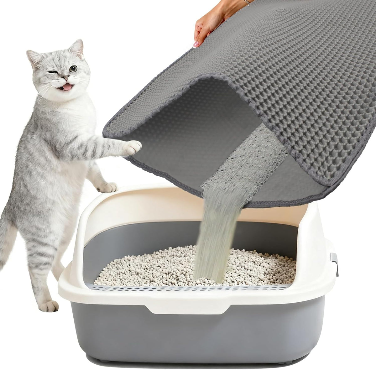 Recyclable double layer cat litter trapping system illustration