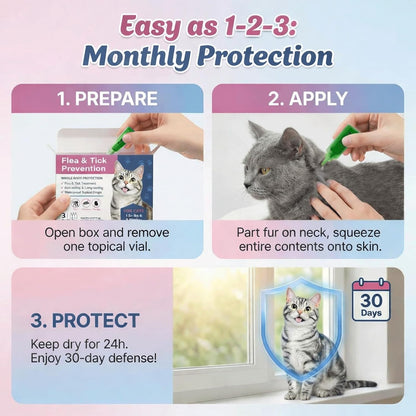 Catego flea life cycle protection topical formula box view