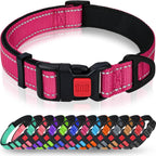 Taglory dog collar red variant full view