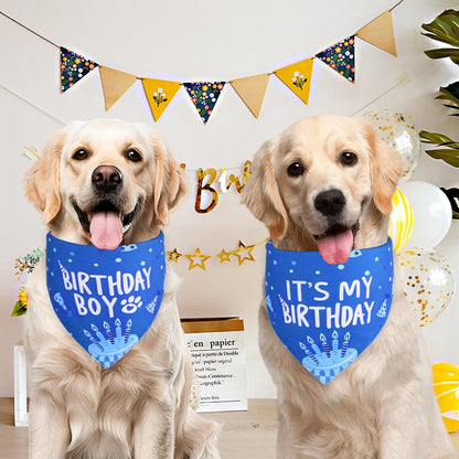 Large dog wearing Agroon blue birthday boy bandana
