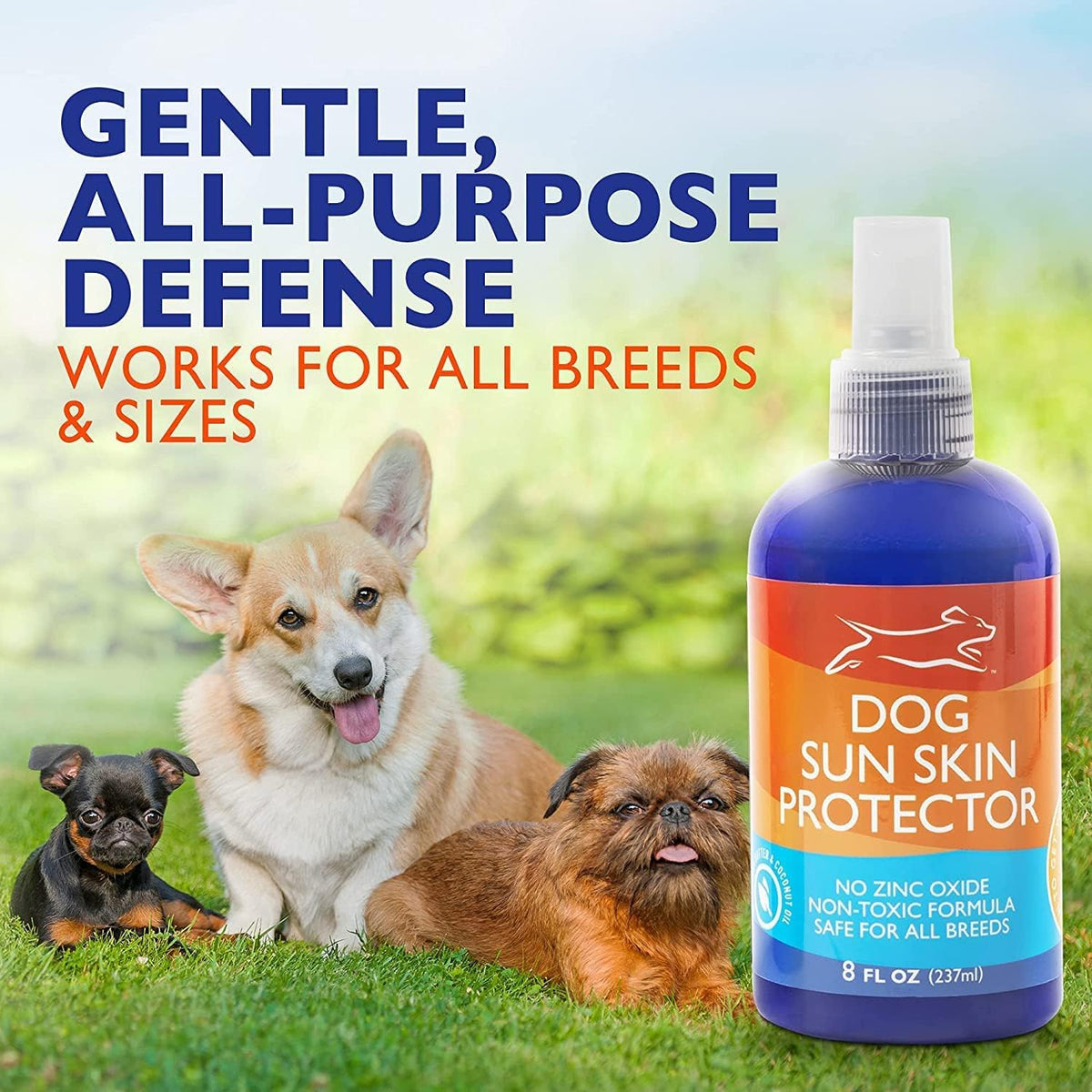 Zinc oxide free dog sun protection spray packaging showcasing ingredients for pet skin health