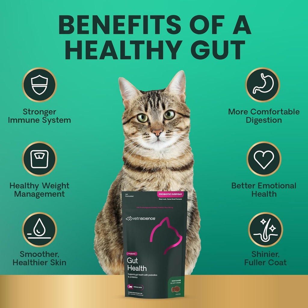 VetriScience duck flavor cat probiotic chews texture