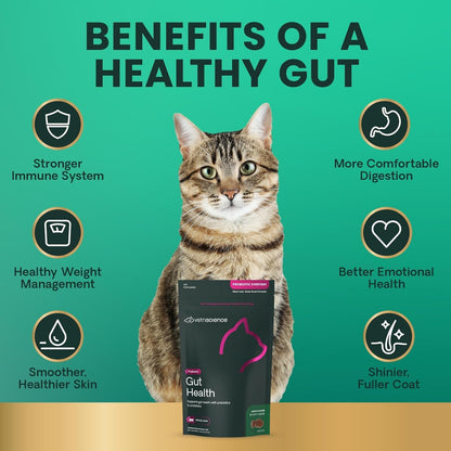 VetriScience duck flavor cat probiotic chews texture