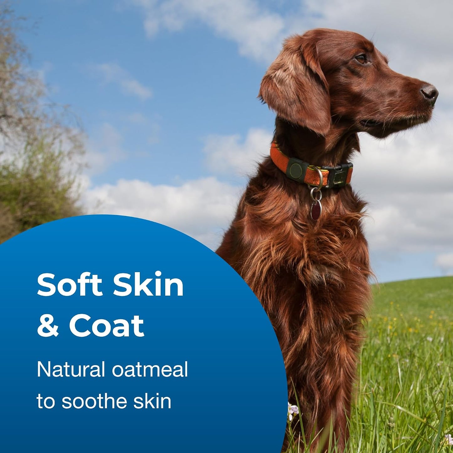 Close up of PetAg soap-free formula bottle for sensitive dog skin