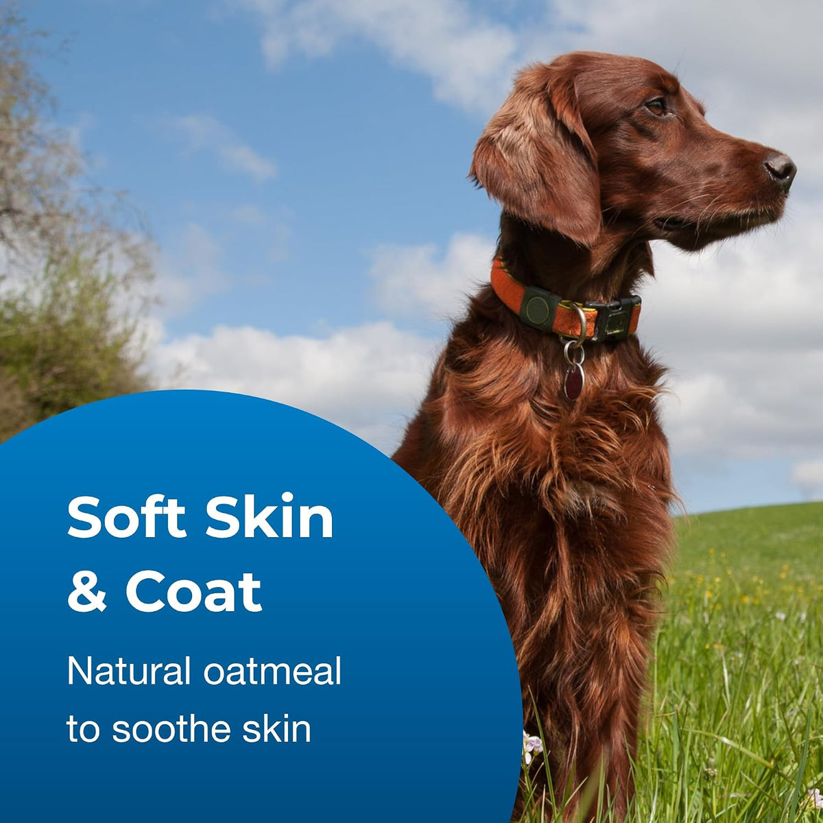 PetAg dog grooming shampoo displaying key active ingredients