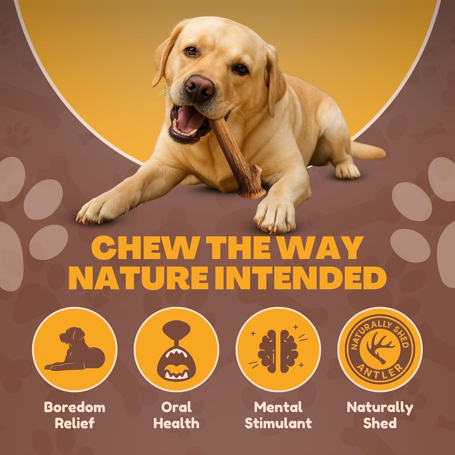 Whole cut premium WhiteTail Naturals deer antler pieces highlighting durable build for aggressive power chewers.