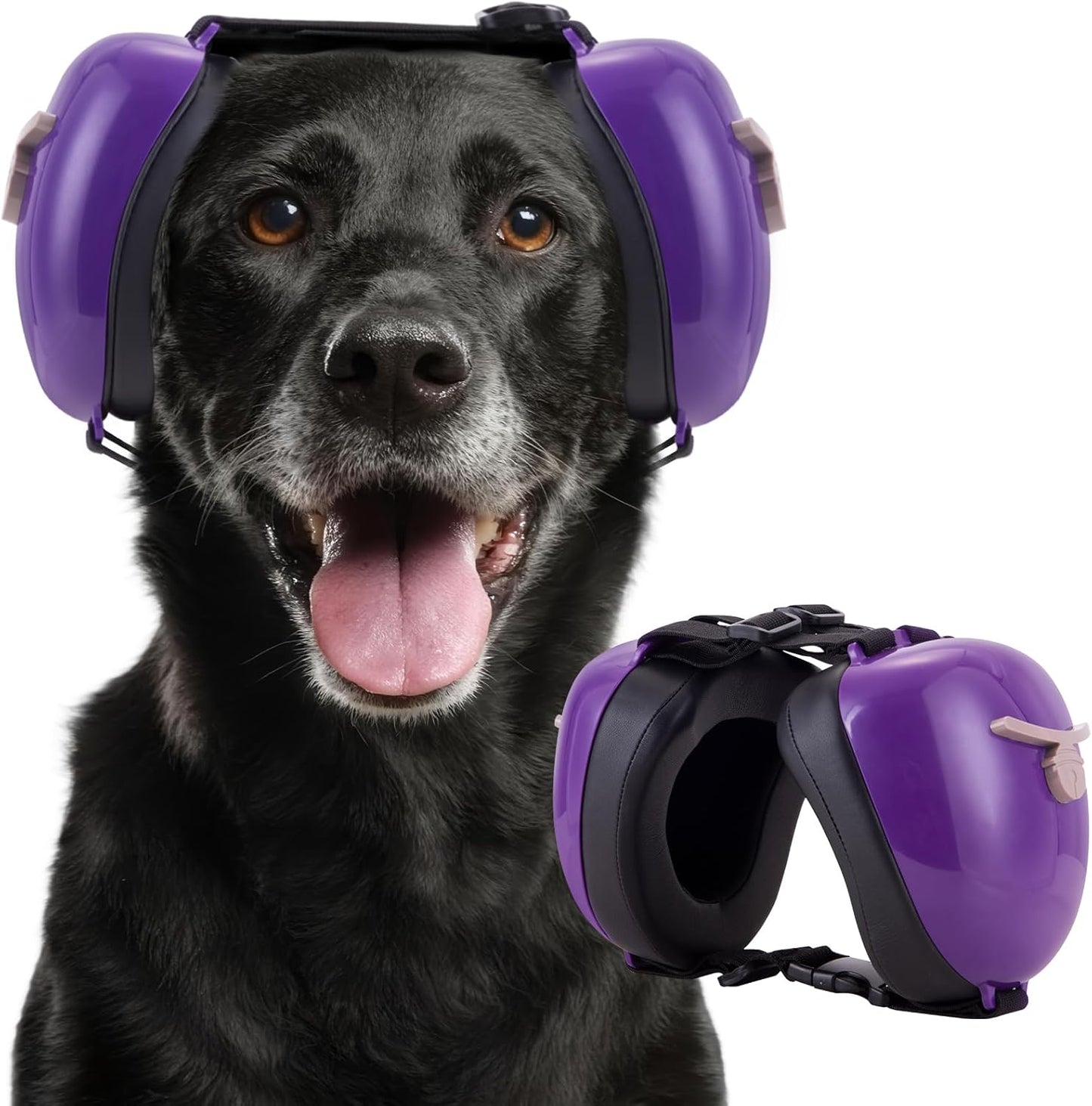 Famikako authentic USA imported pet hearing protection earmuffs in bright blue