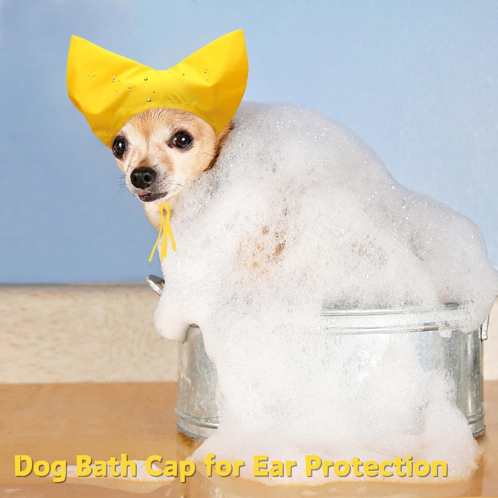 Sezdeki pet shower cap shown on a Sphynx cat
