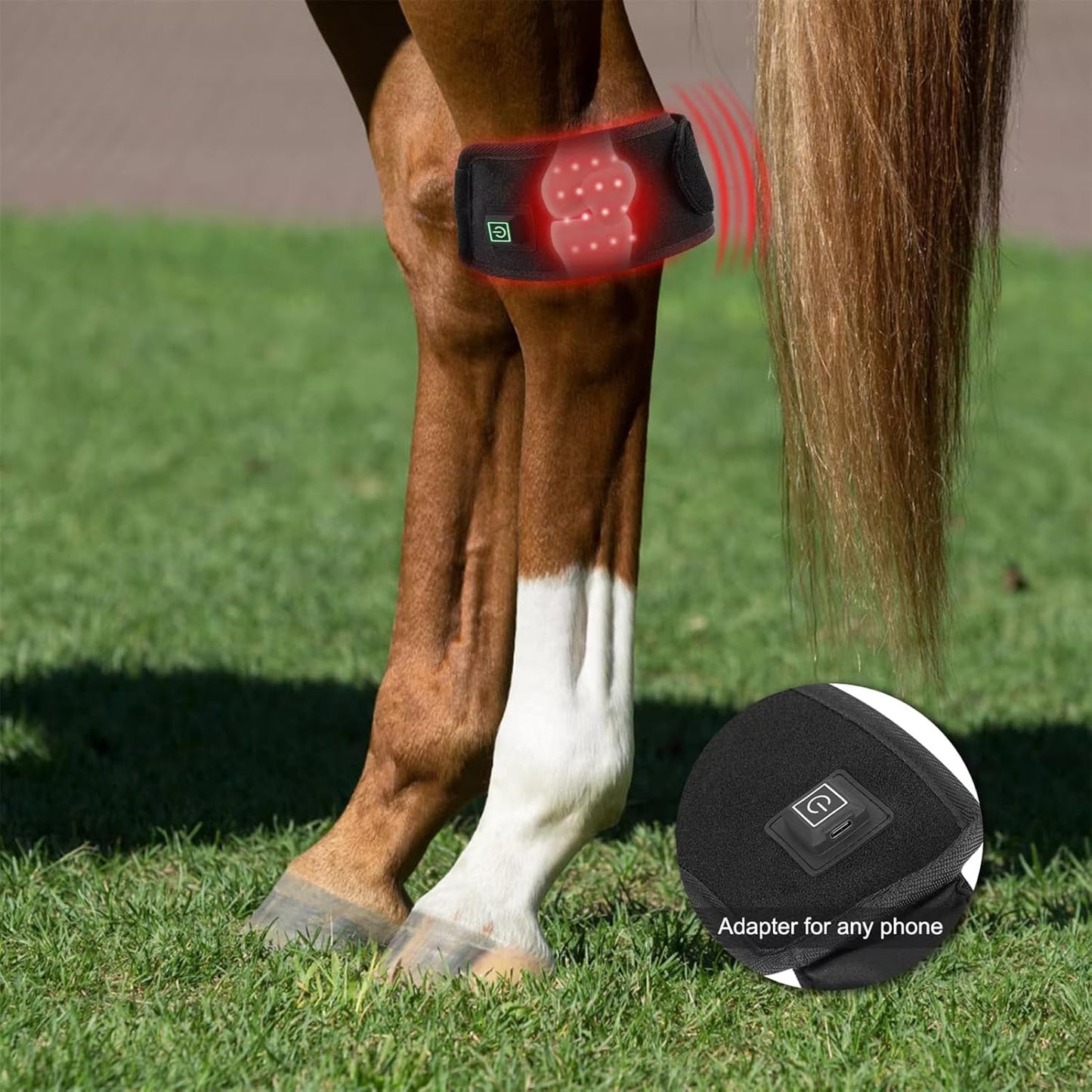 FSDLJSP equine hock pain relief boot showing the dual wavelength separate switch controls.