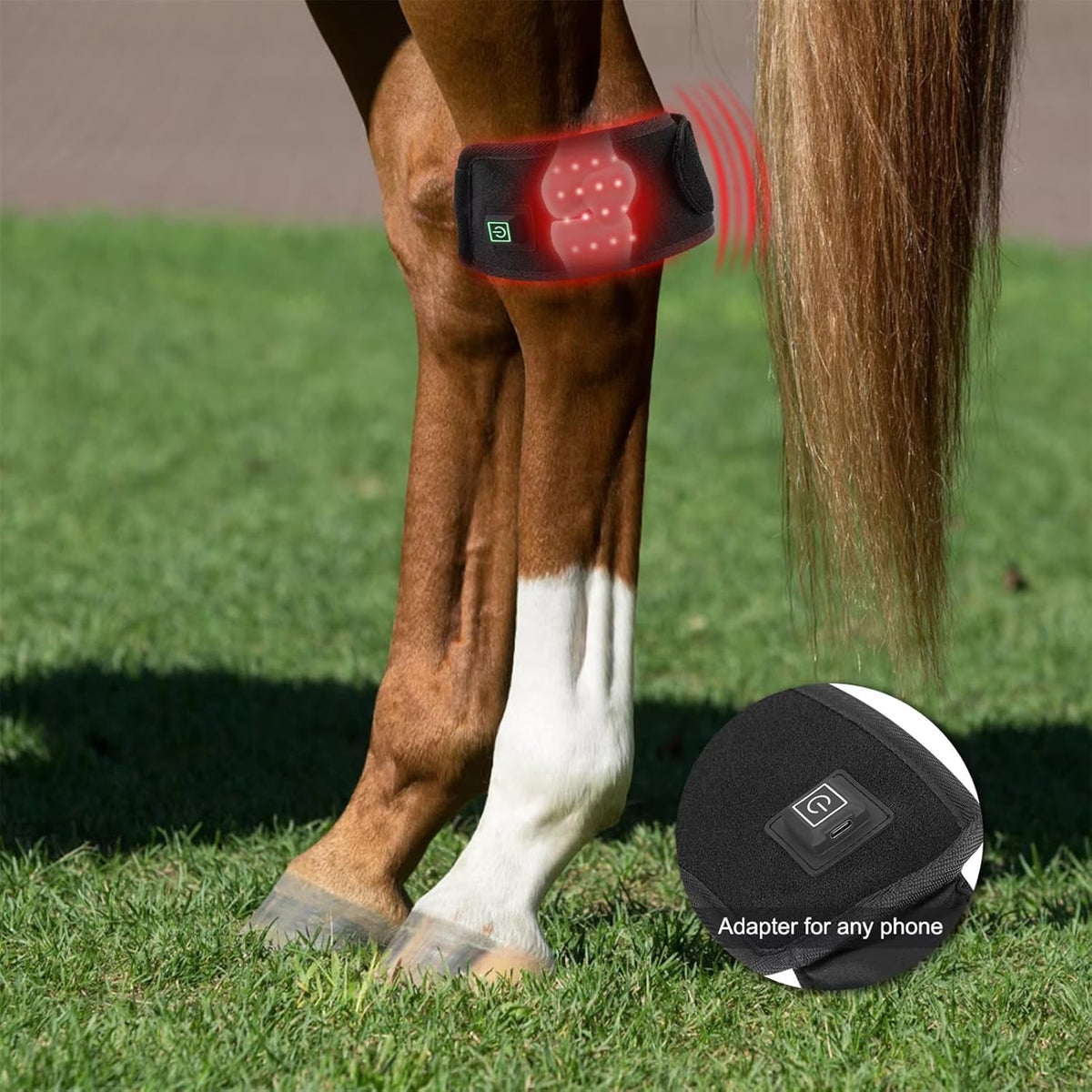FSDLJSP equine hock pain relief boot showing the dual wavelength separate switch controls.