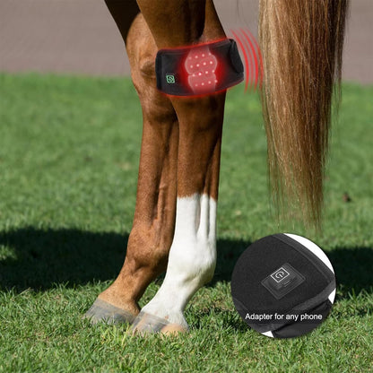 FSDLJSP equine hock pain relief boot showing the dual wavelength separate switch controls.