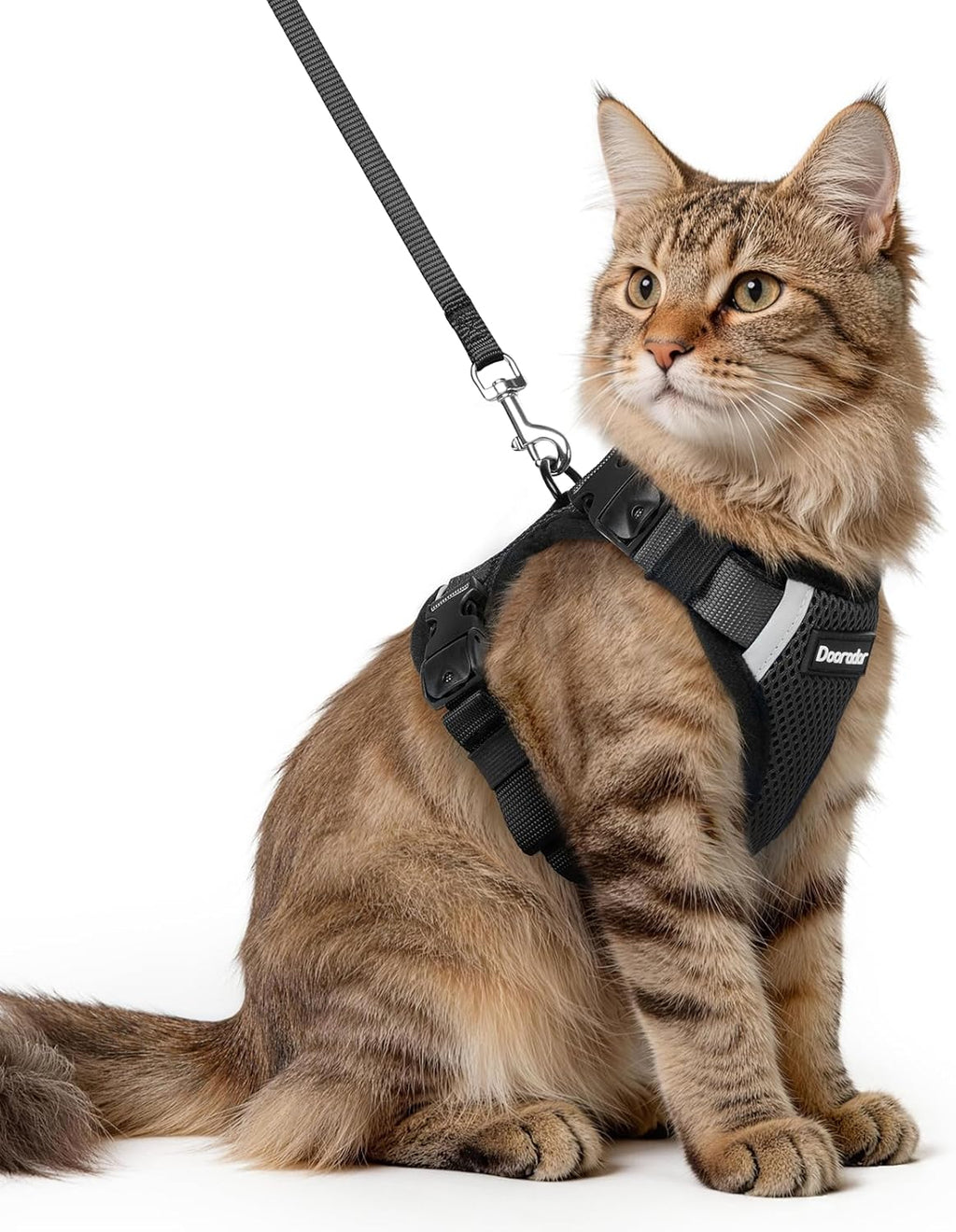 Dooradar Cat Harness and Leash Set, Escape Proof Soft with 3 Adjustable Buckles, Comfortable Vest Easy to Wear Kitten Harness with Reflective Strip, Safe for Outdoor Walking, Black, S - Image 13