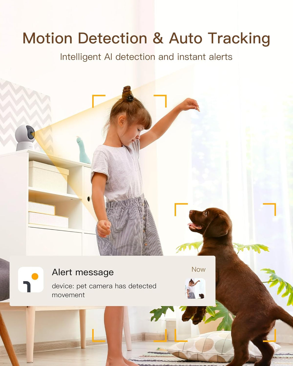 Arenti P2Q security camera tracking a domestic pet in a room.