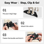 Joytale step-in harness adjustable velcro and buckle closure detail