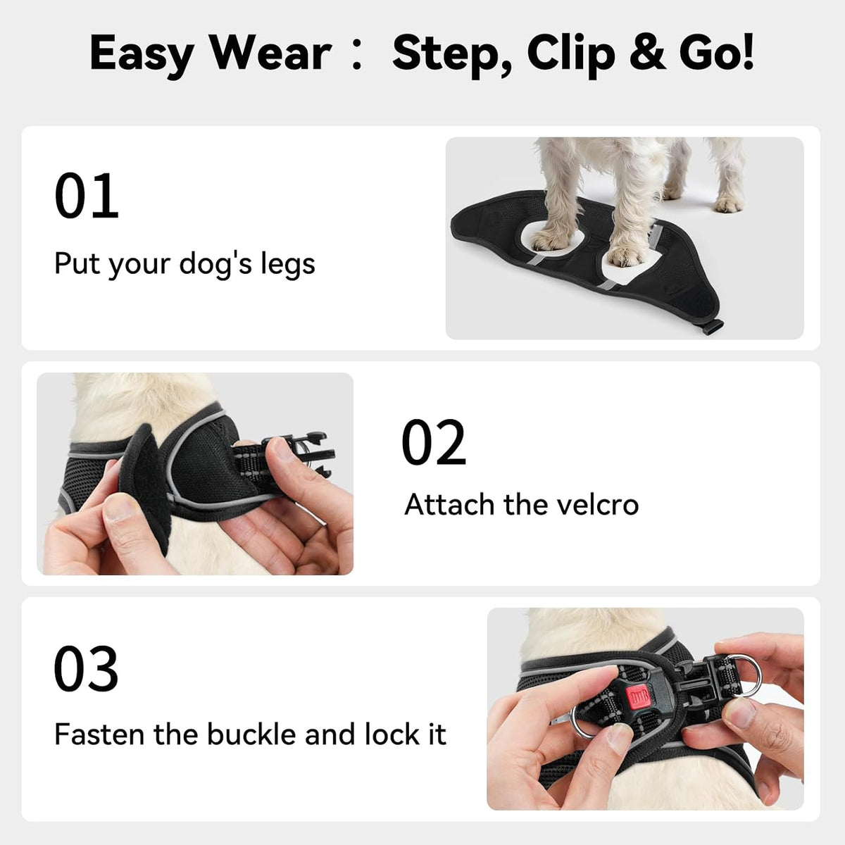 Joytale step-in harness adjustable velcro and buckle closure detail
