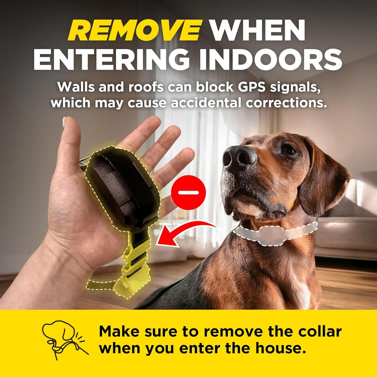 Medium breed dog wearing the yellow Dogtra GPS fence collar roaming safely in a spacious yard.