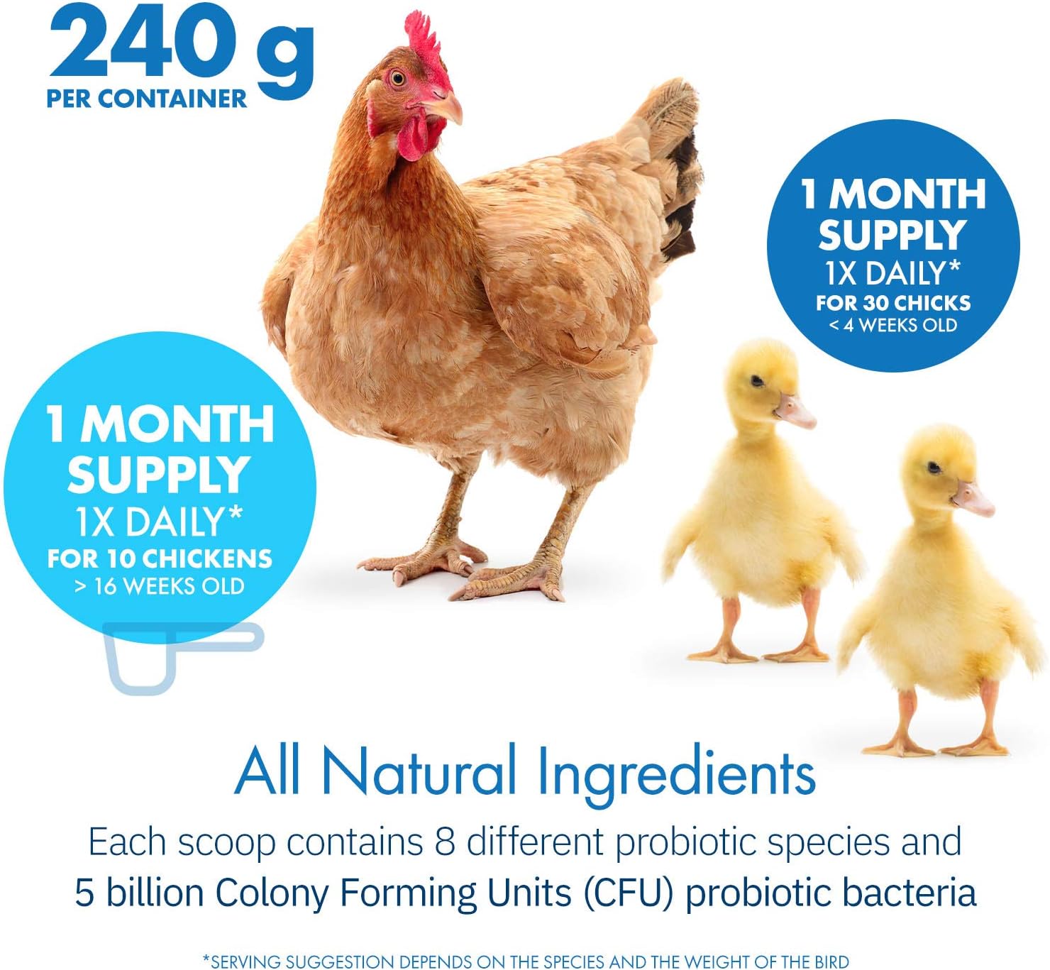 Back view of HealthyGut Poultry supplement showing the detailed age-based feeding guidelines table.