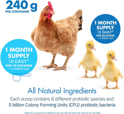 Back view of HealthyGut Poultry supplement showing the detailed age-based feeding guidelines table.