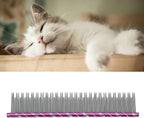 Zerodis cat grooming comb held in hand for scale