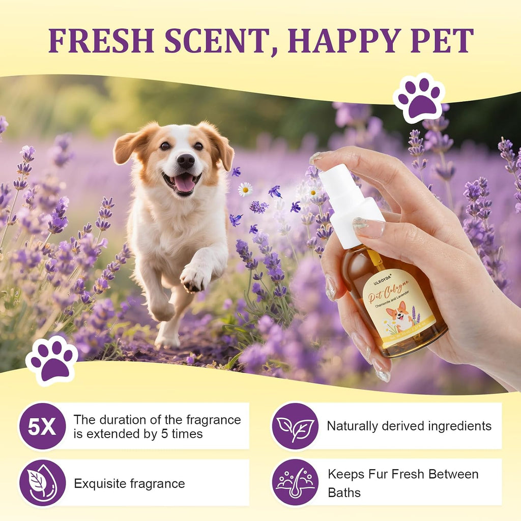 Ulroyda natural pet perfume bottle showcasing the alcohol free formula label.