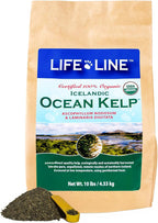Life Line Icelandic Ocean Kelp powder scoop and canister