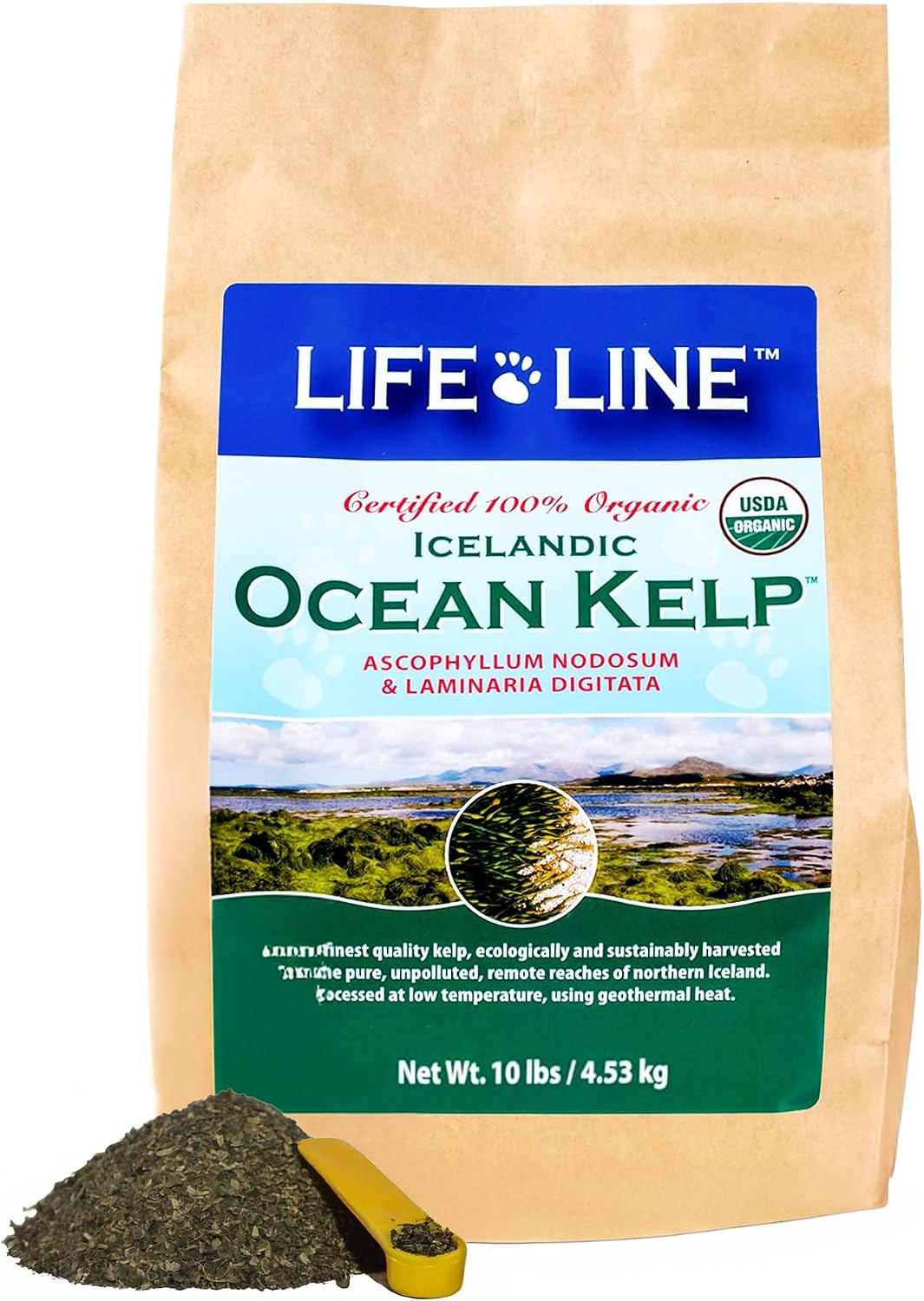 Life Line Icelandic Ocean Kelp powder scoop and canister