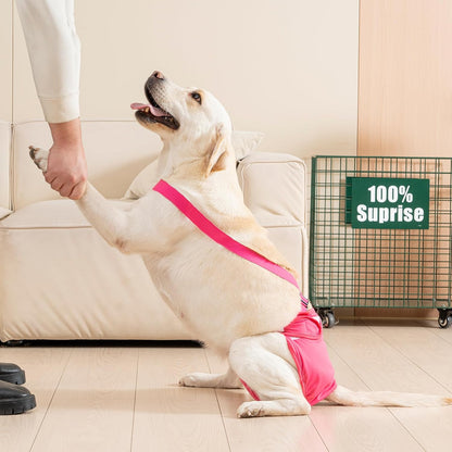 Side view of leakproof Avont reusable diaper for dogs in heat