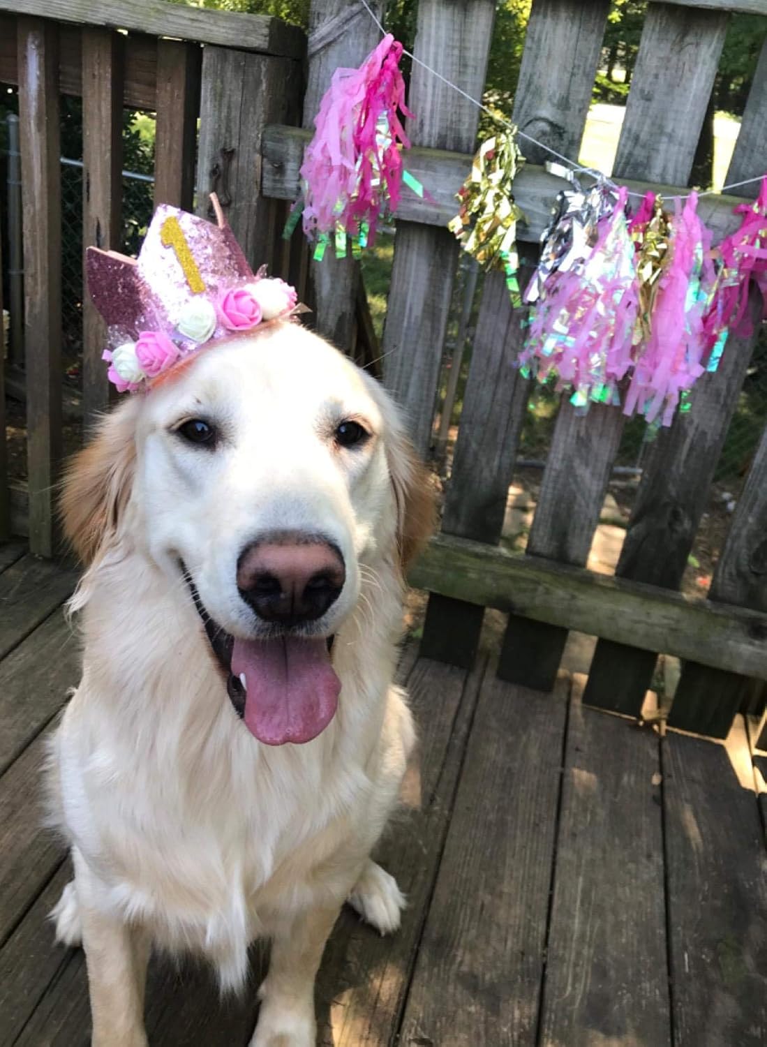 Adjustable elastic chin strap on pet party hat