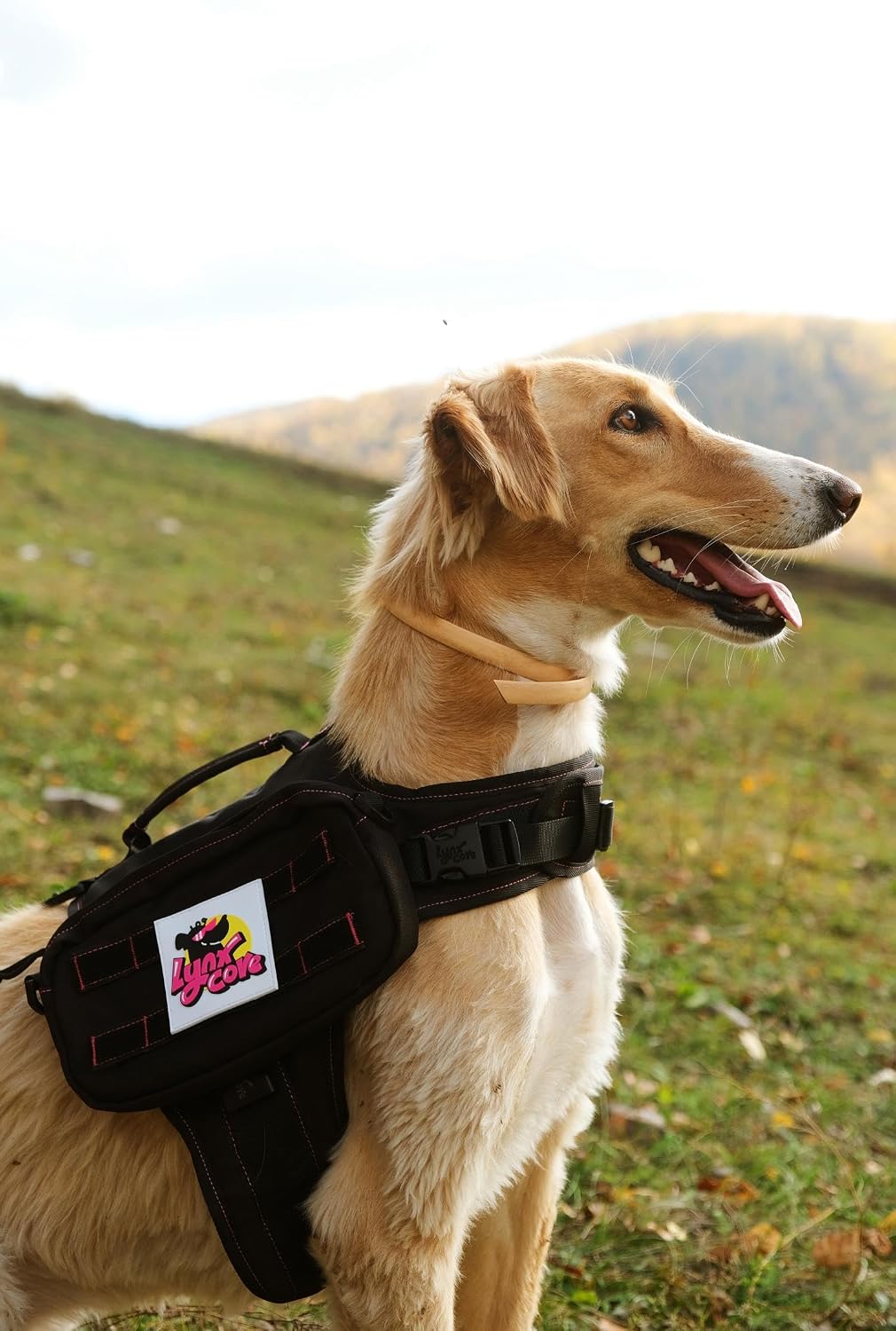 Lynxcore small medium large dog harness with heavy duty buckles closed