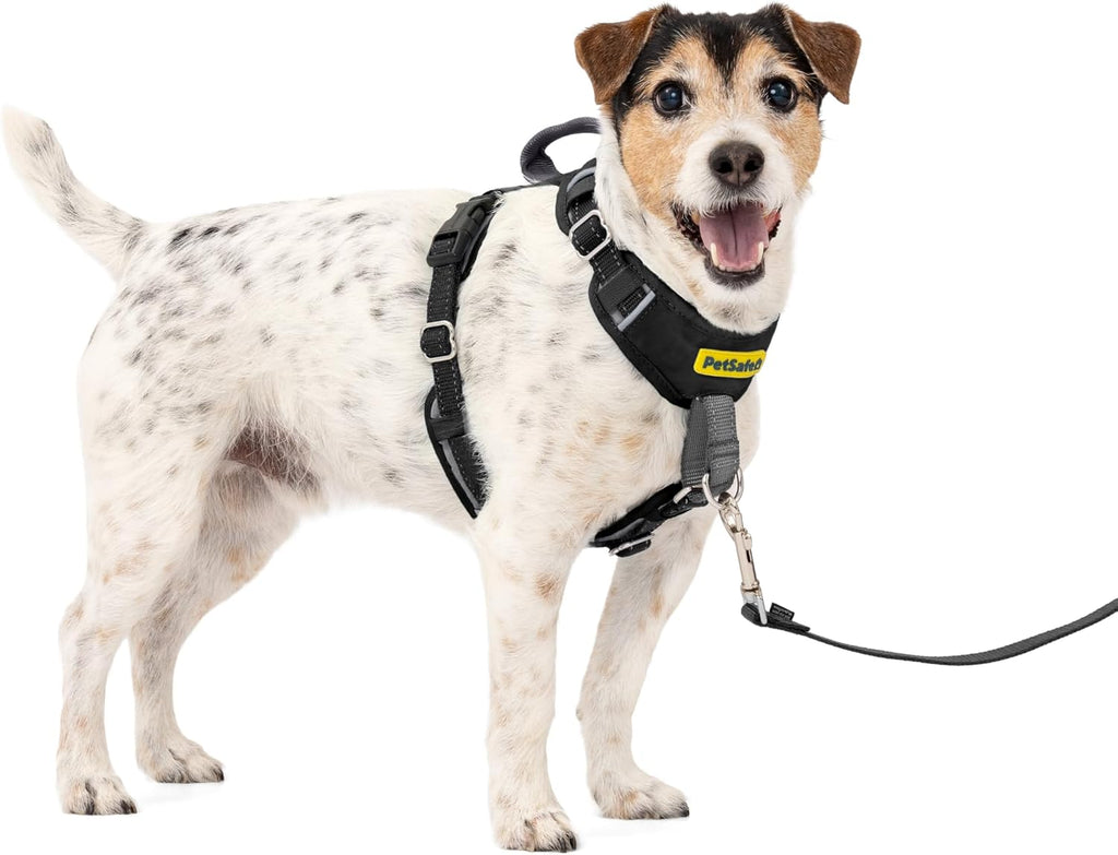 PetSafe Easy Walk Comfort No-Pull Dog Harness Full-Body Padding - Better Walks on the First Use - 5 Points of Adjustment Medium, Blue - Image 12