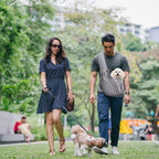 Hands-free dog sling carrier with secure safety belt