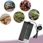 PeSandy 7W reptile heating pad placed underneath a glass terrarium tank