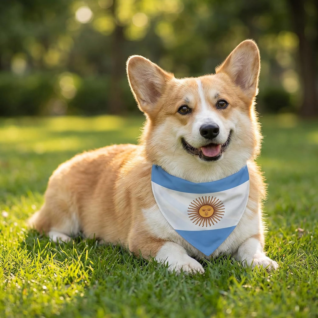 Comparison of two flag patterns on reversible pet accessory