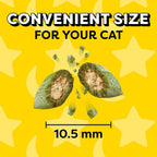 Temptations Classic Crunchy and Soft Cat Treats Creepy Catnip Blissful Catnip Flavor, 16 oz. Tub - Image 9