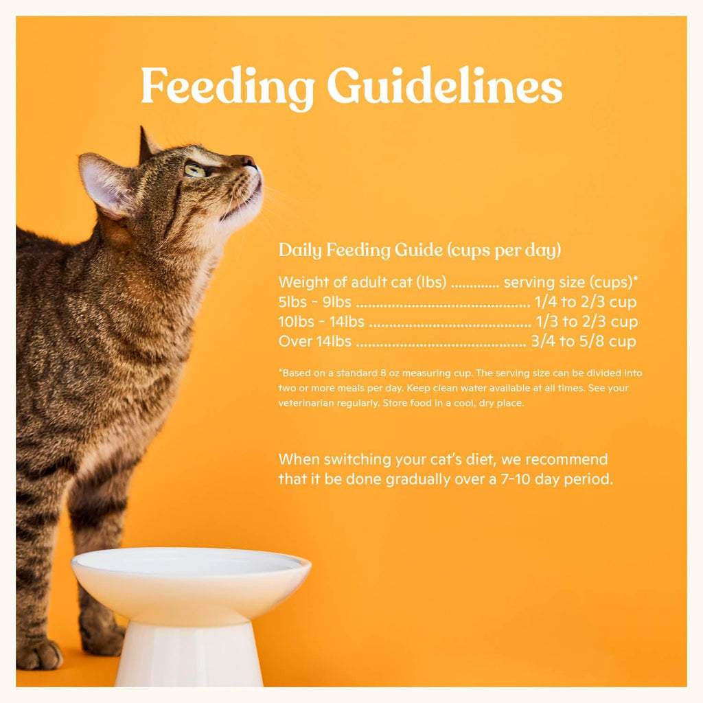 Made by Nacho limited ingredient high protein kibble for adult cats nutritional facts