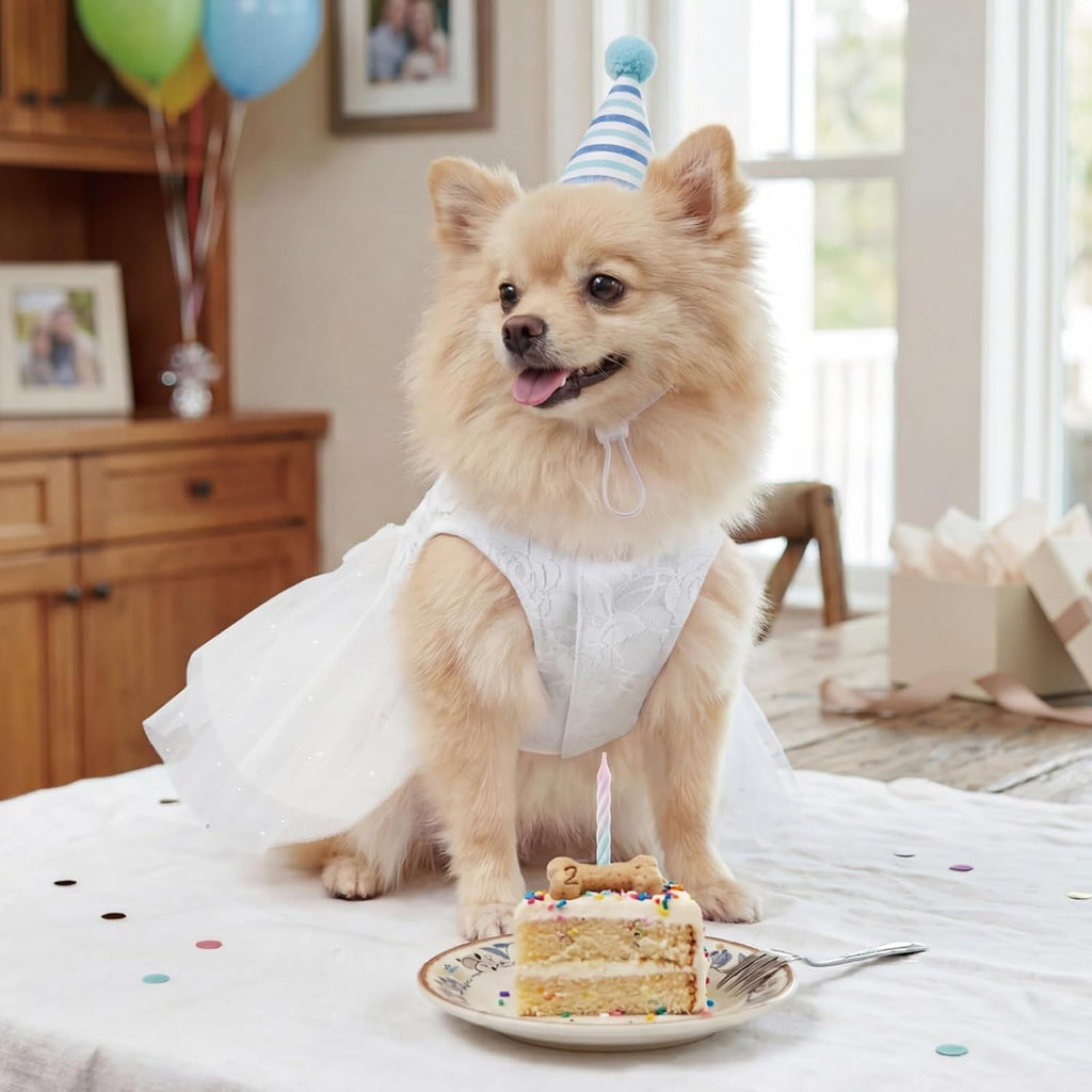 XPUDAC pet clothes for small dogs girl demonstrating the stretchable and lightweight fabric fit.