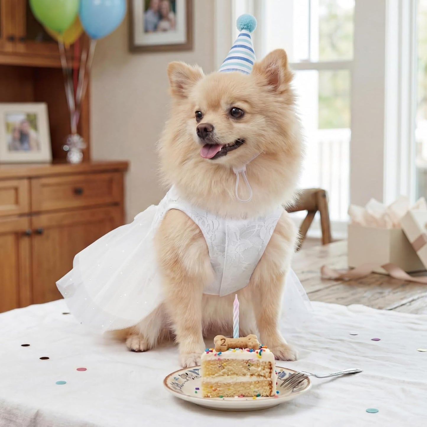 XPUDAC pet clothes for small dogs girl demonstrating the stretchable and lightweight fabric fit.