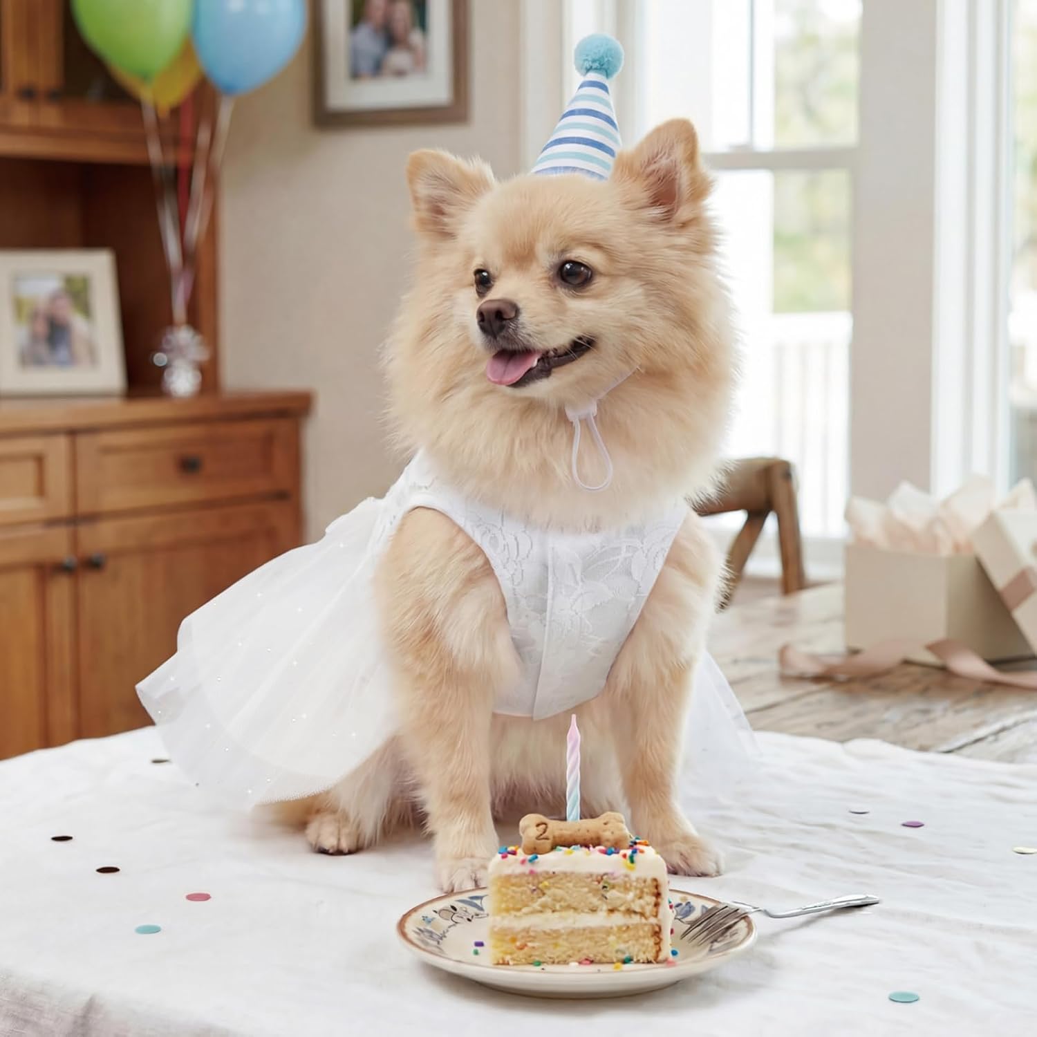 XPUDAC pet clothes for small dogs girl demonstrating the stretchable and lightweight fabric fit.