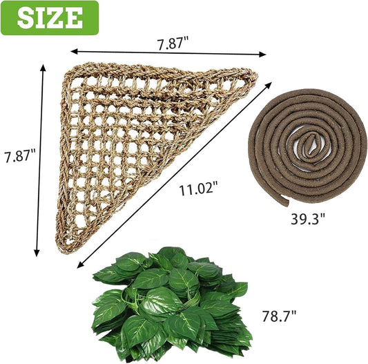 Natural seagrass reptile hammock in a terrarium