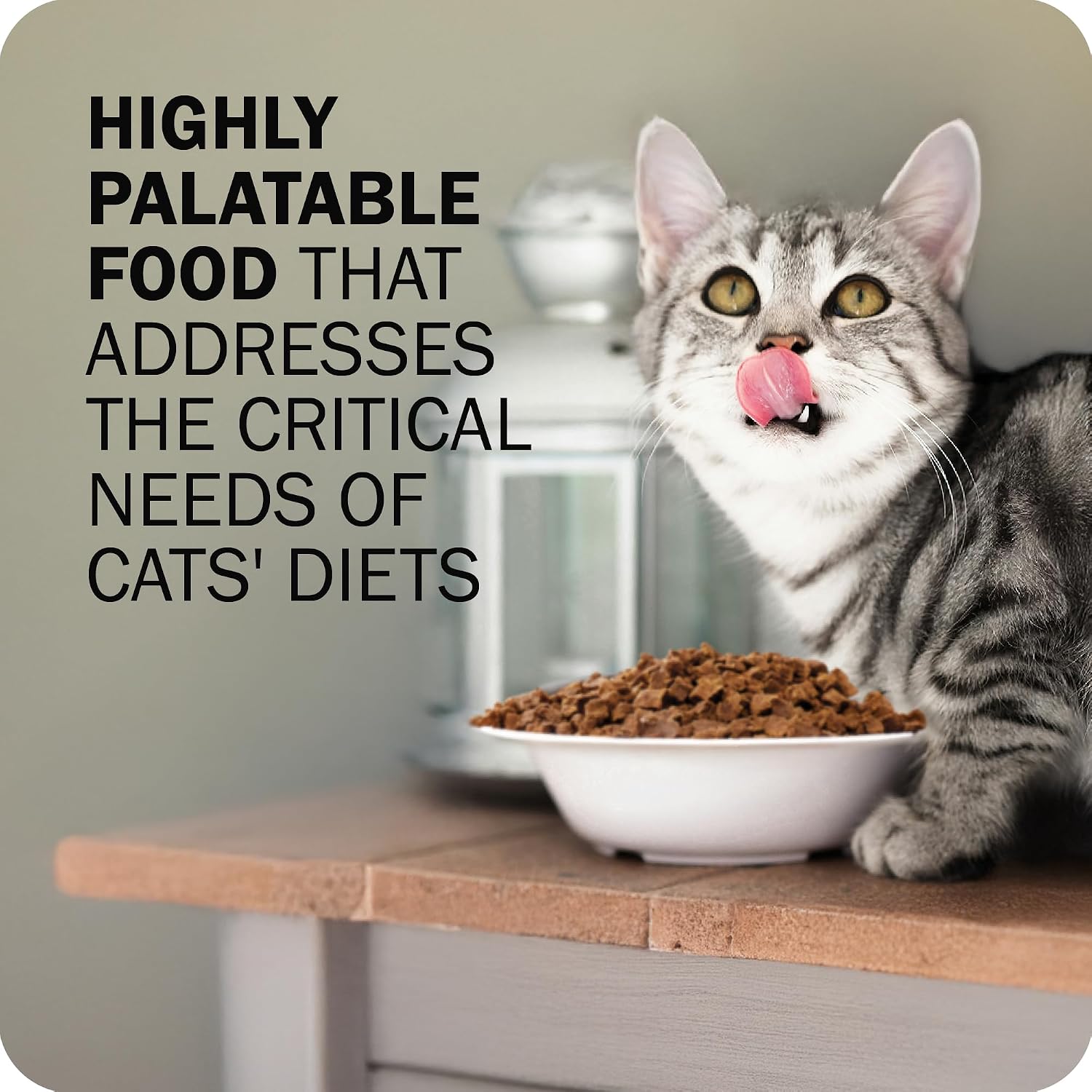 Redbarn air dried cat food kibble texture close up