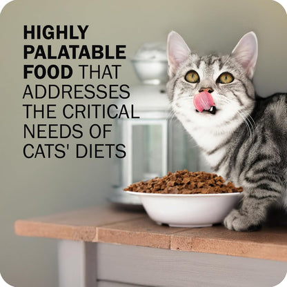 Redbarn air dried cat food kibble texture close up