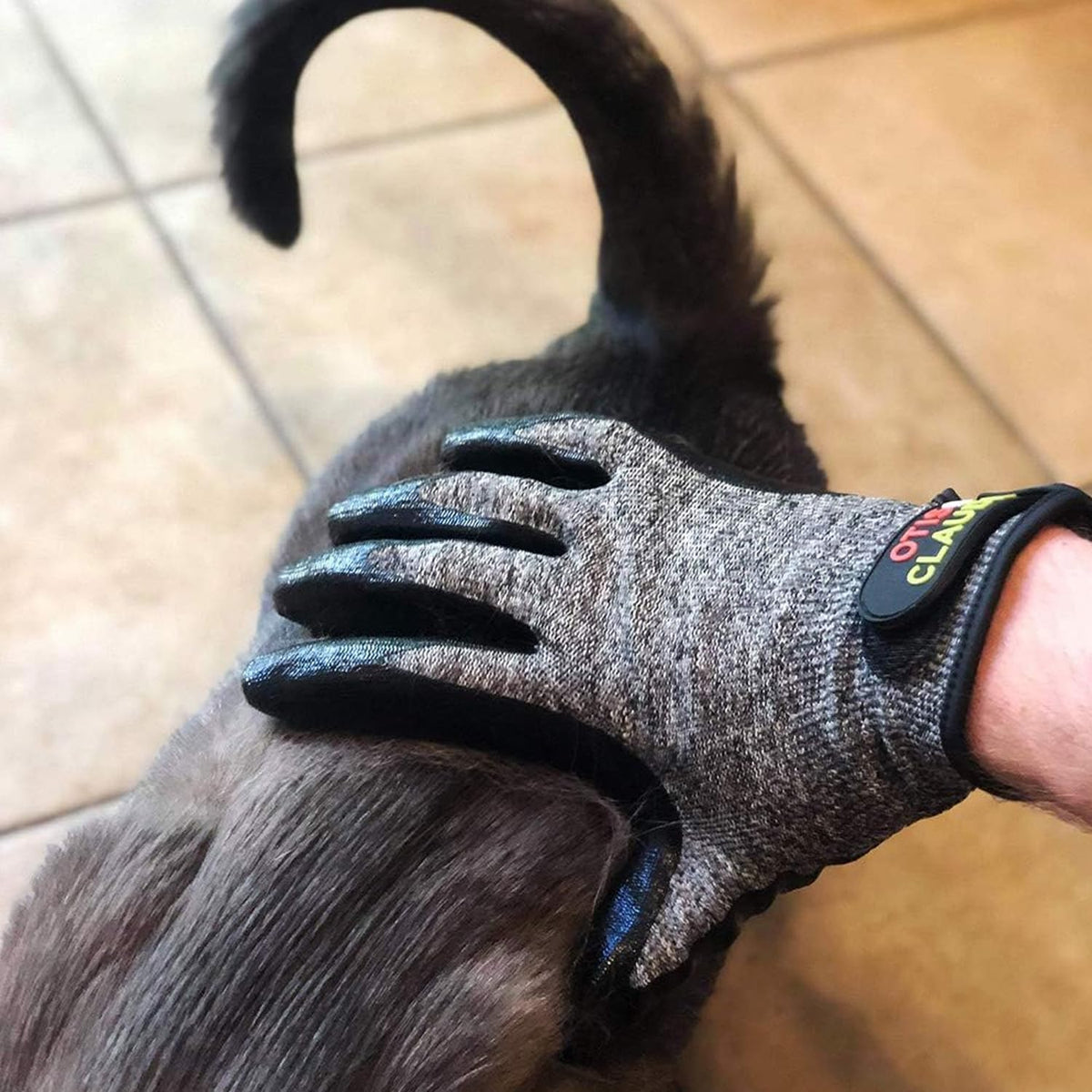 Otis and Claude bathing mitt lathering shampoo on a dog