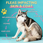 Supplement facts and plant based ingredients label on Woyamay flea treatment bottle.