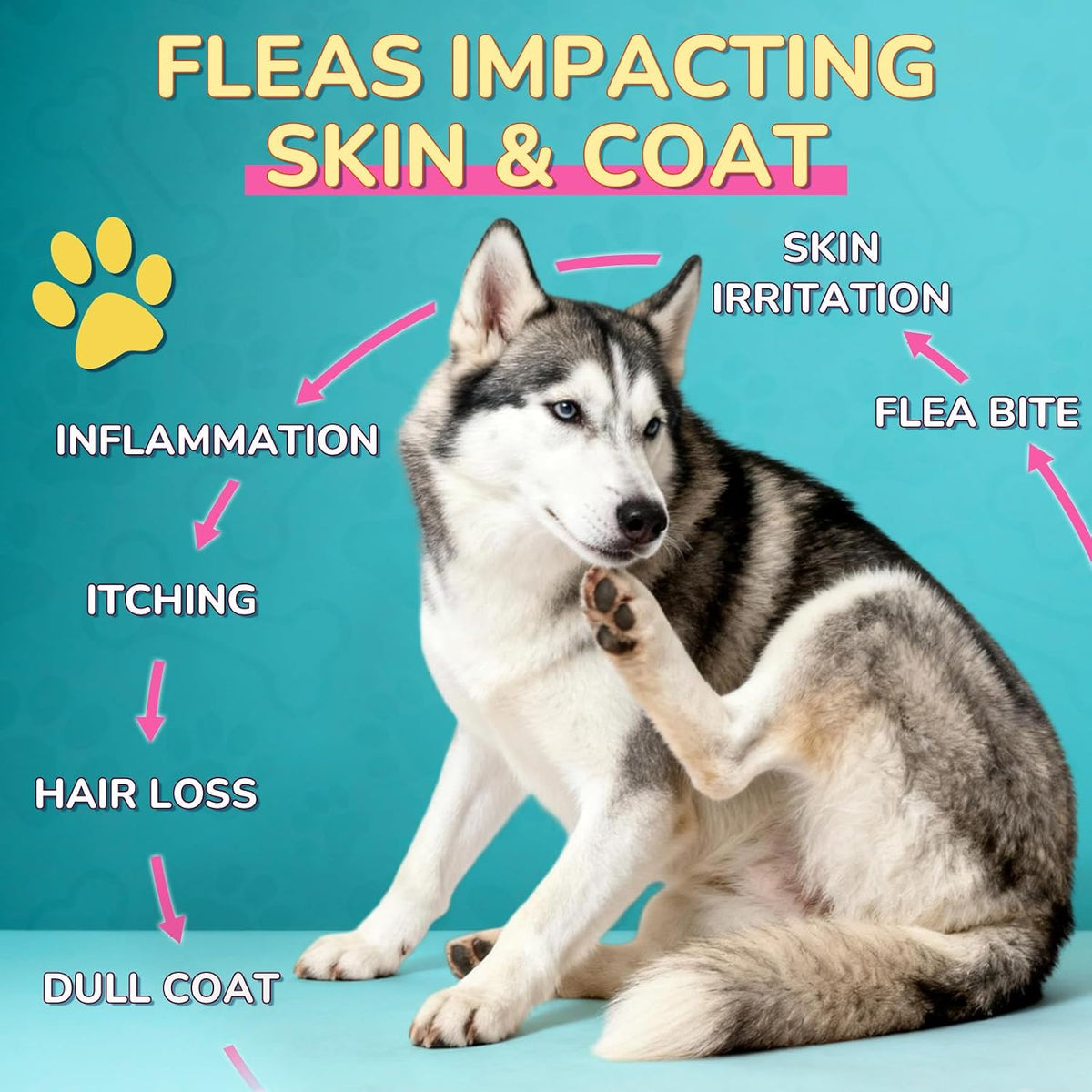 Supplement facts and plant based ingredients label on Woyamay flea treatment bottle.
