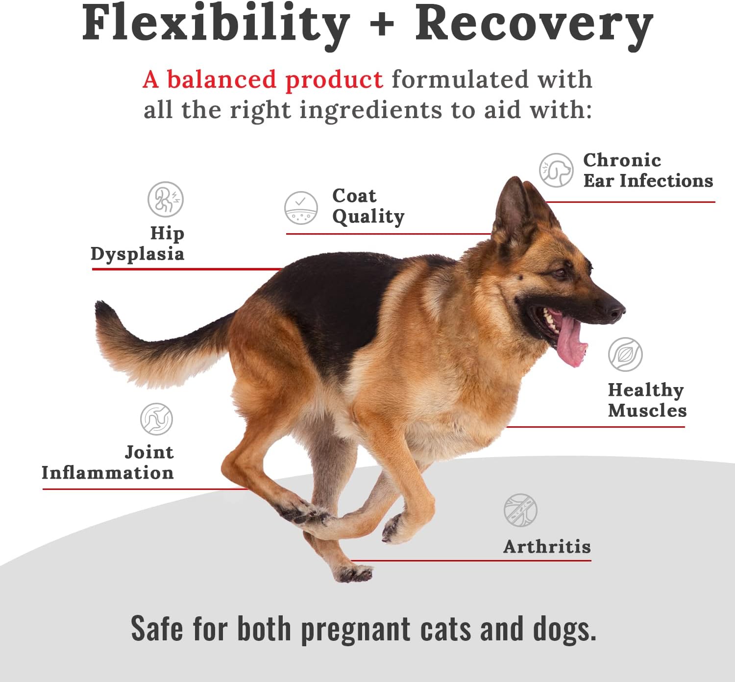 Mojo feline and canine joint mobility powder packaging